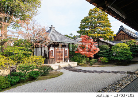 京都 秋の建仁寺 納骨堂と紅葉 京都 秋の建仁寺 納骨堂と紅葉 137037102