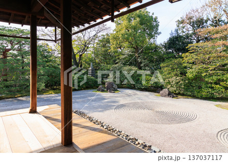 京都　秋の建仁寺　方丈前庭の大雄苑 137037117