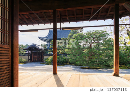 京都　秋の建仁寺　方丈前庭の大雄苑 137037118