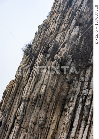 Rugged vertical rock cliff with columnar formations 137037319