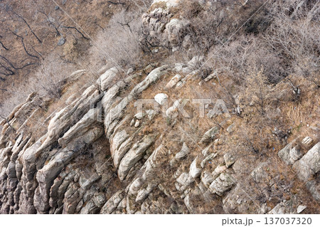 Rugged rocky mountainside with dry winter vegetation 137037320