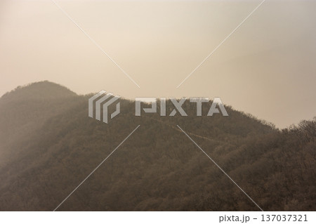 Hazy mountain ridge in soft sunrise light 137037321