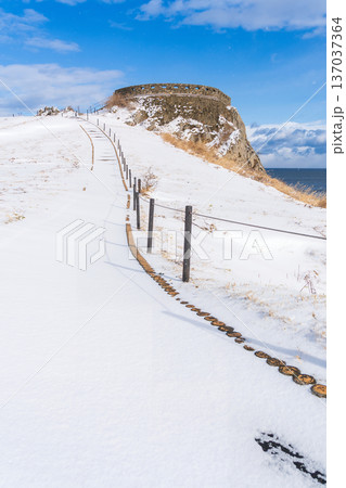 「青森県」雪景色の葦毛崎展望台の風景 八戸市 「青森県」雪景色の葦毛崎展望台の風景 八戸市 137037364