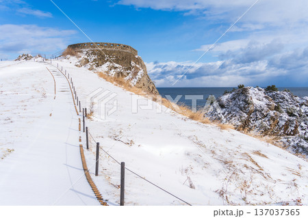 「青森県」雪景色の葦毛崎展望台の風景　八戸市 137037365