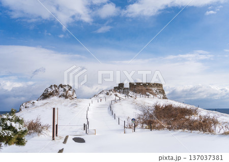 「青森県」雪景色の葦毛崎展望台の風景 八戸市 「青森県」雪景色の葦毛崎展望台の風景 八戸市 137037381