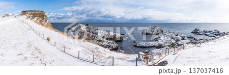 「青森県」雪景色の葦毛崎展望台の風景　八戸市 137037416