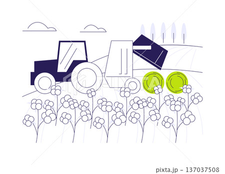 Cotton harvesting abstract concept vector illustration. Cotton harvesting abstract concept vector illustration. 137037508