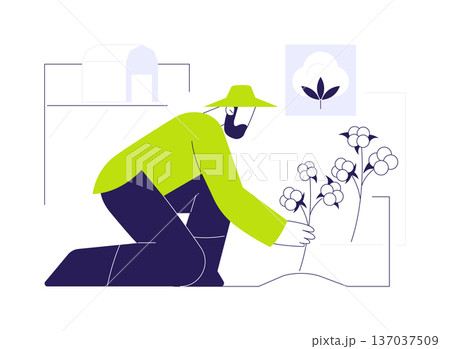 Growing cotton abstract concept vector illustration. Growing cotton abstract concept vector illustration. 137037509