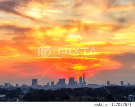 空撮「埼玉県」さいたま新都心と夕日の風景 さいたま市 空撮「埼玉県」さいたま新都心と夕日の風景 さいたま市 137037671