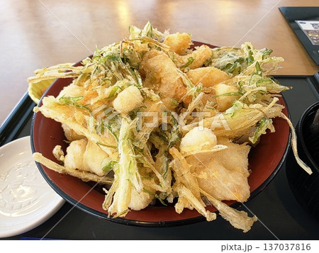 房総半島のご当地グルメ・ボリューム満点の海鮮かき揚げ丼 房総半島のご当地グルメ・ボリューム満点の海鮮かき揚げ丼 137037816