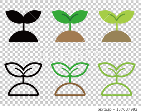 簡單的嫩芽插圖集 137037992