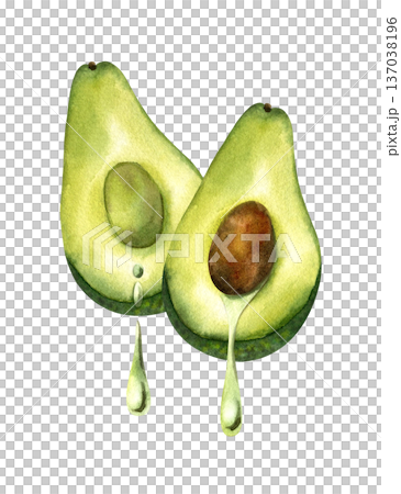 Two avocado half with drop of oil leaking out, with bone and with pulp. Concept of oil extraction, cold press, superfoods. Isolated clipart. For oil packaging design, skincare, vegan product Two avocado half with drop of oil leaking out, with bone and with pulp. Concept of oil extraction, cold press, superfoods. Isolated clipart. For oil packaging design, skincare, vegan product 137038196
