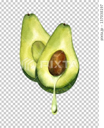 Watercolor illustration of two avocado half with drop of oil leaking out. Concept of oil extraction, cold press, superfoods. Isolated clipart. For oil packaging design, skincare, vegan product Watercolor illustration of two avocado half with drop of oil leaking out. Concept of oil extraction, cold press, superfoods. Isolated clipart. For oil packaging design, skincare, vegan product 137038197