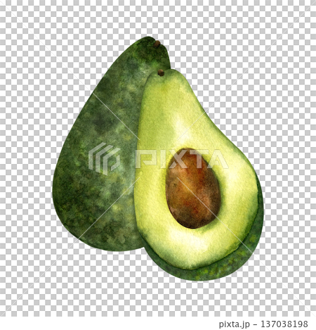 Two avocado whole and half with pit. Fresh organic fruit, Superfood. Isolated hand drawn watercolor illustration. For menu design, product packaging, healthy eating, keto diet, healthy lifestyle 137038198