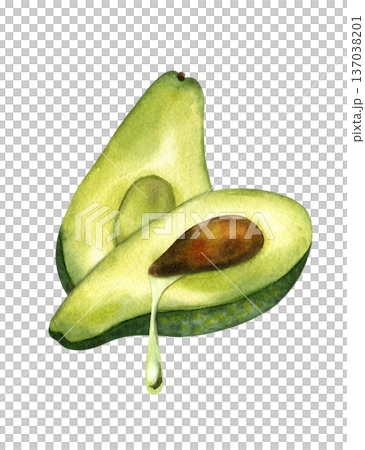 Watercolor illustration of two avocado half with drop of oil leaking out, side view. Concept of oil extraction, cold press, superfoods. Isolated clipart. For oil packaging design, skincare product Watercolor illustration of two avocado half with drop of oil leaking out, side view. Concept of oil extraction, cold press, superfoods. Isolated clipart. For oil packaging design, skincare product 137038201