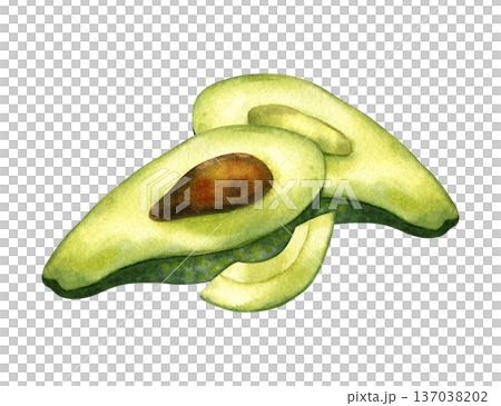 Watercolor composition two half avocado, with pit and with pulp and sliced piece. Fresh organic fruit. Cut lengthwise. For healthy food, menu, recipes, Design for oils, sauces. Isolated illustration 137038202