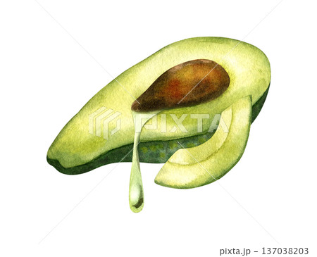 Avocado half with drop of oil leaking out and slice, lying horizontally, side view. Concept of oil extraction, cold press, superfoods. Watercolor isolated illustration. For vegan packaging design 137038203