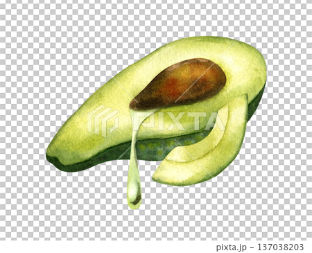 Avocado half with drop of oil leaking out and slice, lying horizontally, side view. Concept of oil extraction, cold press, superfoods. Watercolor isolated illustration. For vegan packaging design Avocado half with drop of oil leaking out and slice, lying horizontally, side view. Concept of oil extraction, cold press, superfoods. Watercolor isolated illustration. For vegan packaging design 137038203
