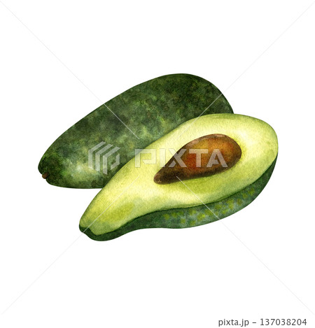 Watercolor composition with half and whole avocado with brown pit, side view. Fresh, green organic fruits. Cut lengthwise. For healthy food concept, packaging, vegetarian content. Isolated clipart Watercolor composition with half and whole avocado with brown pit, side view. Fresh, green organic fruits. Cut lengthwise. For healthy food concept, packaging, vegetarian content. Isolated clipart 137038204