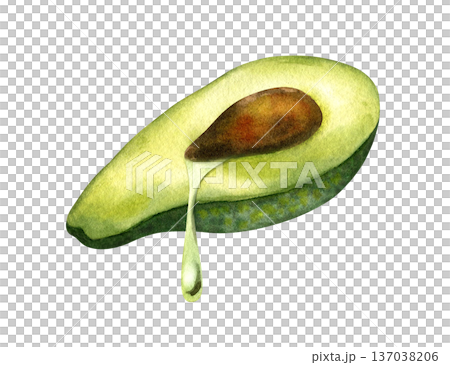 Avocado half with drop of oil leaking out, Top and side views, lying horizontally. Concept of oil extraction, cold press, superfoods. Watercolor isolated illustration. For vegan packaging design 137038206