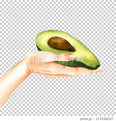 Hand holding an cut lengthwise avocado. Watercolor isolated illustration. Concept of mindful consumption, organic products, healthy lifestyle. For farmers' market, eco-habit, proper nutrition, adds 137038207