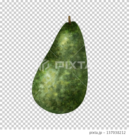 Single whole avocado fruit with bumpy skin texture. Organic fruit, superfood. Detailed watercolor hand drawn illustration isolated from background. Check my portfolio for the matching sliced version 137038212
