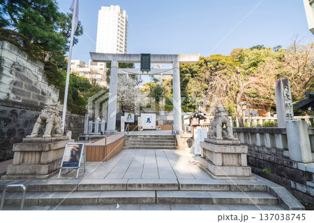 「東京都」乃木神社の風景　港区 137038745