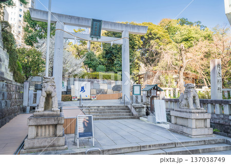 「東京都」乃木神社の風景 港区 「東京都」乃木神社の風景 港区 137038749