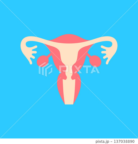 女性の生殖器のアイコン 女性の生殖器のアイコン 137038890