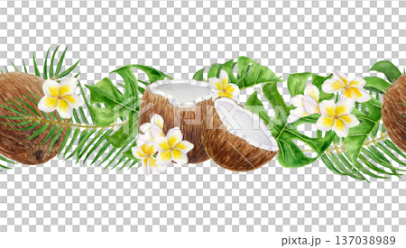 Seamless watercolor tropical border with coconuts, plumeria flowers and palm leaves. Hand painted island banner design for travel agencies, beach resorts, destination weddings and summer marketing. 137038989