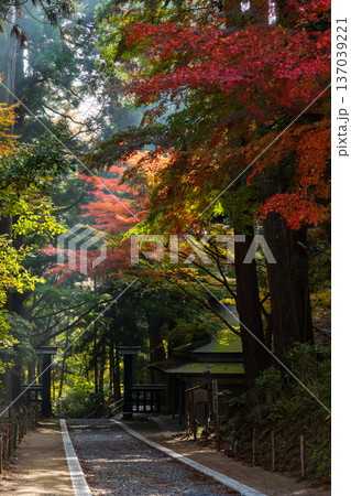 秋の岩手県平泉 紅葉の世界遺産中尊寺 参道 秋の岩手県平泉 紅葉の世界遺産中尊寺 参道 137039221