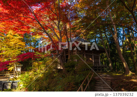 秋の岩手県平泉 紅葉の世界遺産中尊寺 峯薬師堂 秋の岩手県平泉 紅葉の世界遺産中尊寺 峯薬師堂 137039232