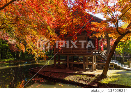 秋の岩手県平泉　紅葉の世界遺産中尊寺　弁財天堂 137039254