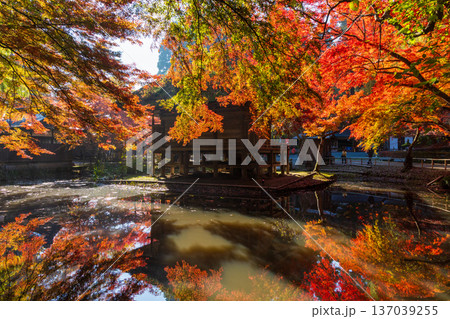 秋の岩手県平泉　紅葉の世界遺産中尊寺　弁財天堂 137039255