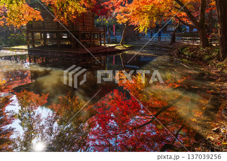 秋の岩手県平泉　紅葉の世界遺産中尊寺　弁財天堂 137039256