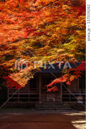 秋の岩手県平泉 紅葉の世界遺産中尊寺 経堂 秋の岩手県平泉 紅葉の世界遺産中尊寺 経堂 137039262