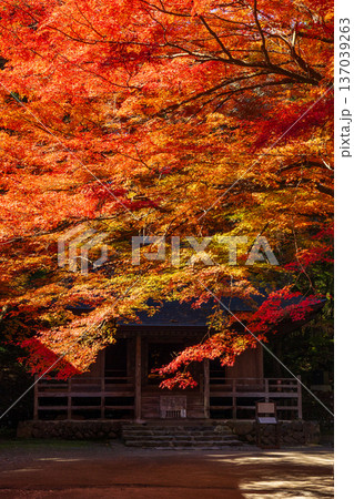 秋の岩手県平泉 紅葉の世界遺産中尊寺 経堂 秋の岩手県平泉 紅葉の世界遺産中尊寺 経堂 137039263
