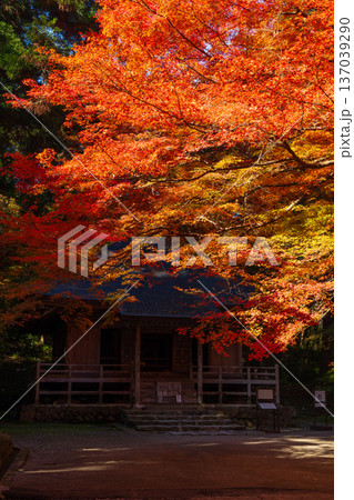 秋の岩手県平泉　紅葉の世界遺産中尊寺　経堂 137039290
