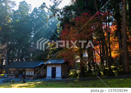 秋の岩手県平泉　紅葉の世界遺産中尊寺 137039294
