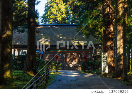 秋の岩手県平泉　紅葉の世界遺産中尊寺　白山神社 137039295