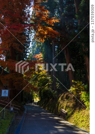 秋の岩手県平泉　紅葉の世界遺産中尊寺 137039309