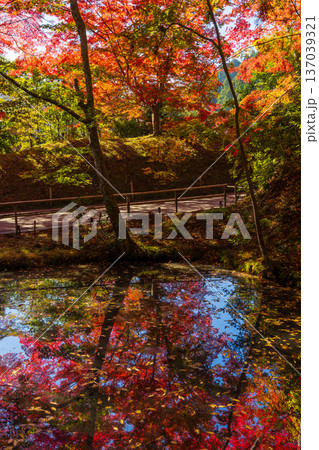 秋の岩手県平泉 紅葉の世界遺産中尊寺 秋の岩手県平泉 紅葉の世界遺産中尊寺 137039321