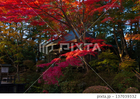 秋の岩手県平泉　紅葉の世界遺産中尊寺　峯薬師堂 137039332