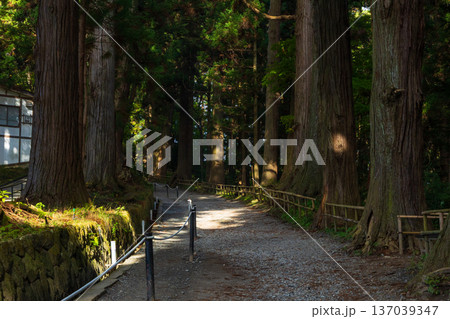 秋の岩手県平泉 紅葉の世界遺産中尊寺 月見坂 秋の岩手県平泉 紅葉の世界遺産中尊寺 月見坂 137039347