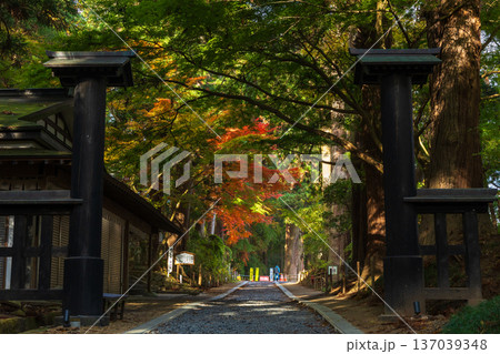 秋の岩手県平泉 紅葉の世界遺産中尊寺 参道 秋の岩手県平泉 紅葉の世界遺産中尊寺 参道 137039348