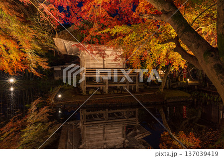 秋の岩手県平泉　世界遺産中尊寺　夜間ライトアップ「紅葉銀河」　弁財天堂 137039419