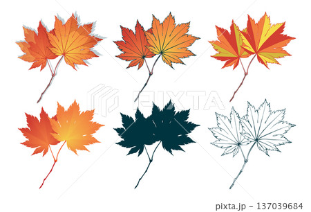 Set of red-yellow colored autumn maple leaves isolated on white background. Flat and line styles vector illustrations Set of red-yellow colored autumn maple leaves isolated on white background. Flat and line styles vector illustrations 137039684