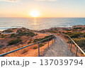 Sunset pathway to Blanche Point Cove beach, Fleurieu Peninsula, South Australia 137039794