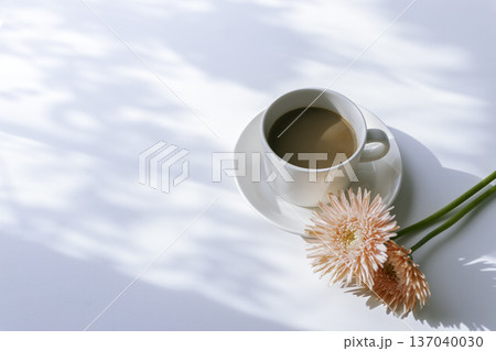 朝の光が差し込むコーヒーとピンクのガーベラ(コピースペース) 朝の光が差し込むコーヒーとピンクのガーベラ(コピースペース) 137040030