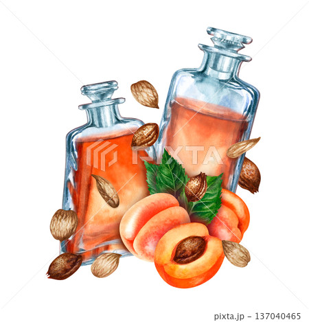 Watercolor illustration of apricot botanical oil in vintage glass apothecary bottles with fresh ripe fruit and scattered kernels isolated on white background for cosmetic branding, skincare packaging 137040465